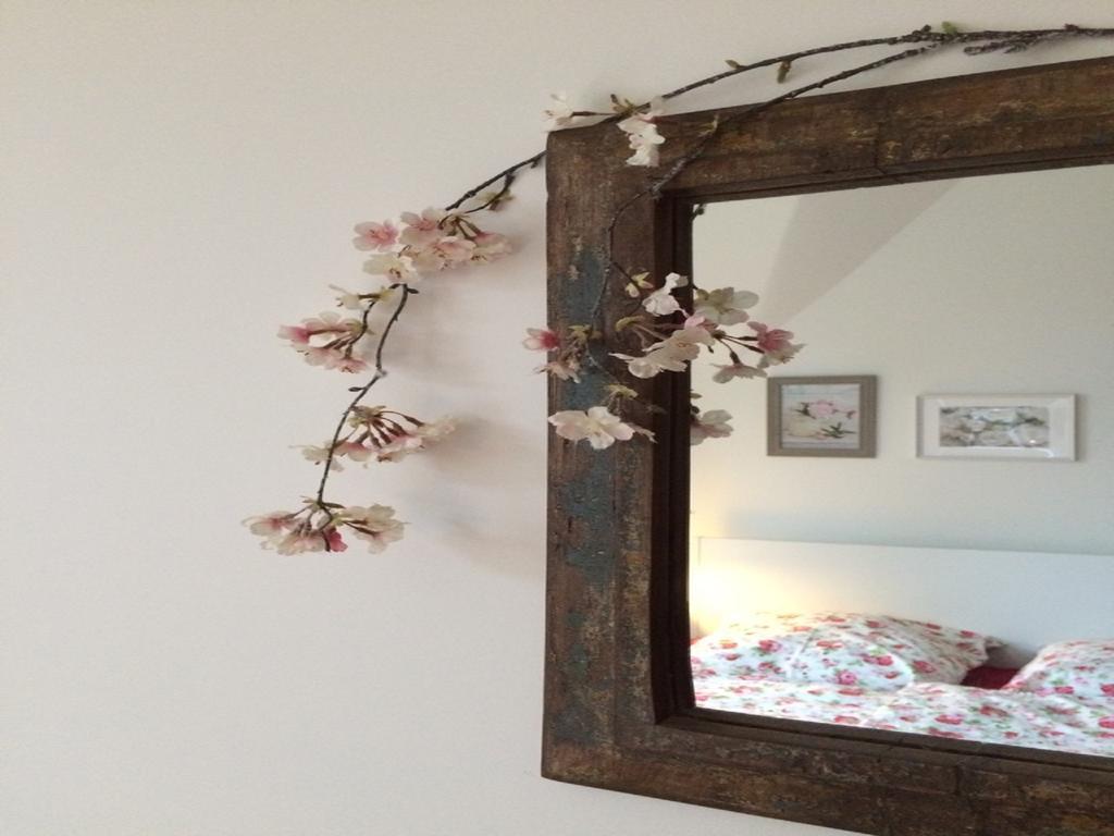 Villa Eschebach - Ferienwohnung Dresde Extérieur photo